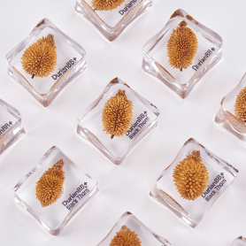 DurianBB Forever Frozen Cube DurianBB Forever Frozen Cube